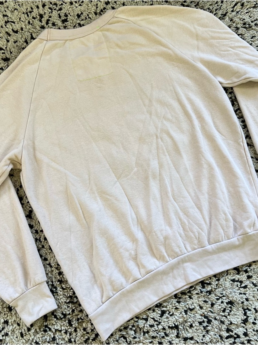 Aviator Nation Tiger Sweatshirt Light Beige Cream Lightweight Crewneck Medium - Picture 12 of 14